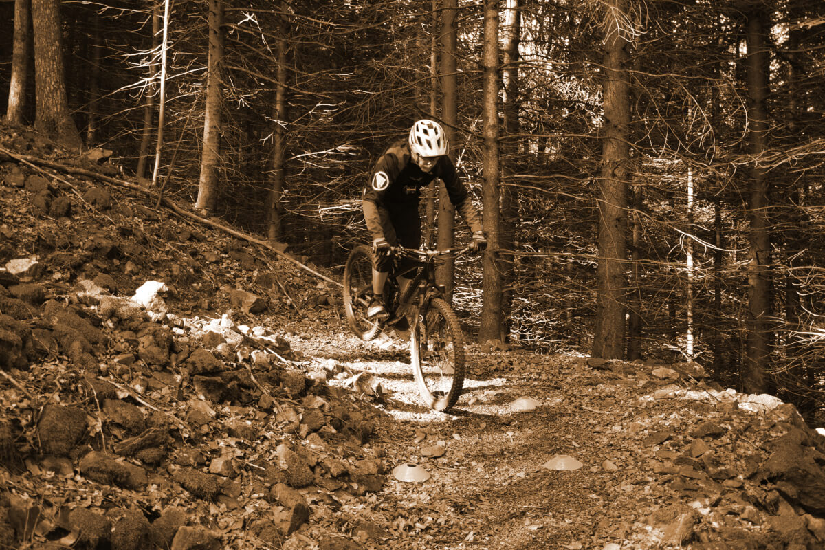 Fahrtechnik Sepia