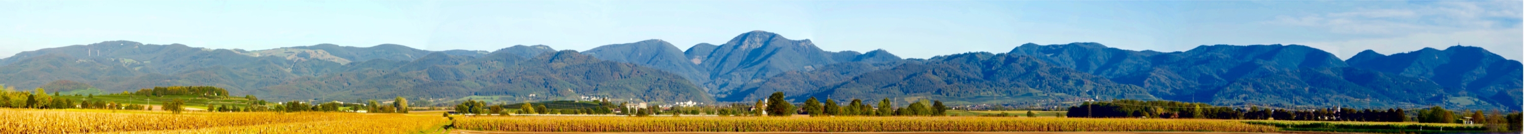 Panorama Foto Schwarzwald 4 (1)
