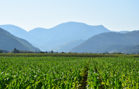 Münstertal Belchenradler Radreisen