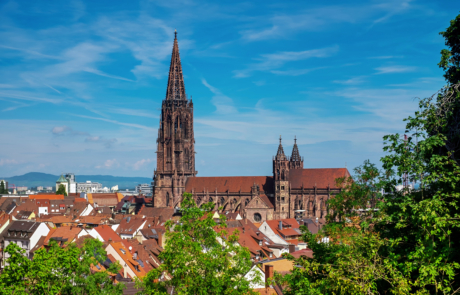 Mountainbike Freiburg mit Belchenradler