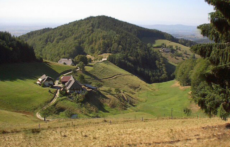 MTB Tour Schwarzwald