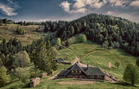 Kälbelescheuer MTB