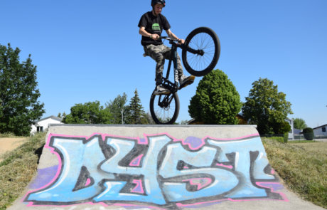 Finn im Skatepark
