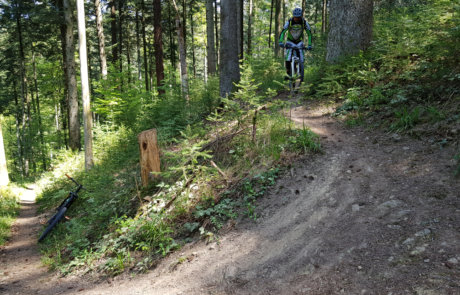 Spittzkehrentraining