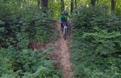E-MTB Level 2